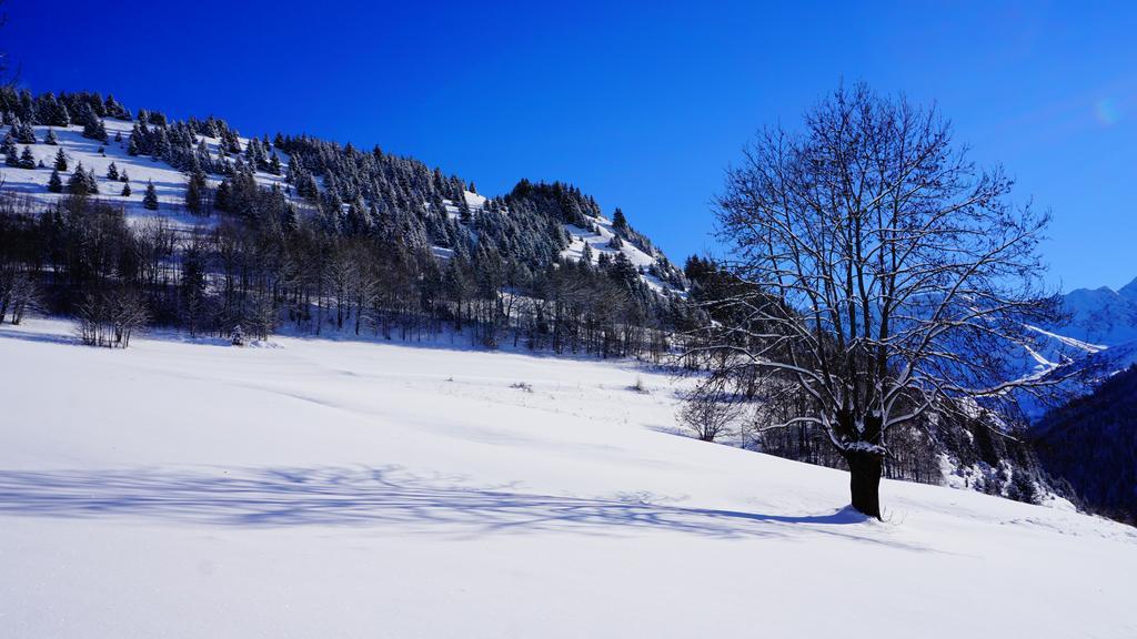 Residence Goelia Les Chalets Des Ecourts 생-장-다르브 외부 사진